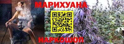 бошки Дмитров