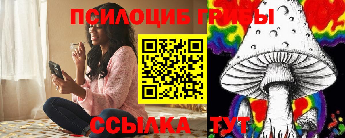 Псилоцибиновые грибы Psilocybe Приморско-Ахтарск