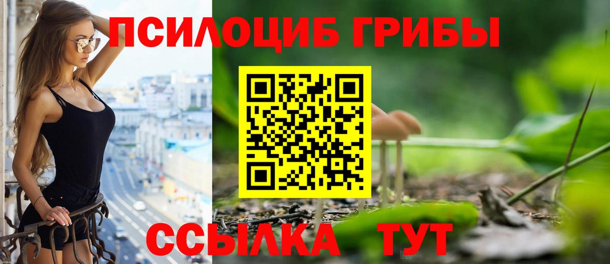 Приморско-Ахтарск  Псилоцибиновые грибы Psilocybe  Вход с VPN 